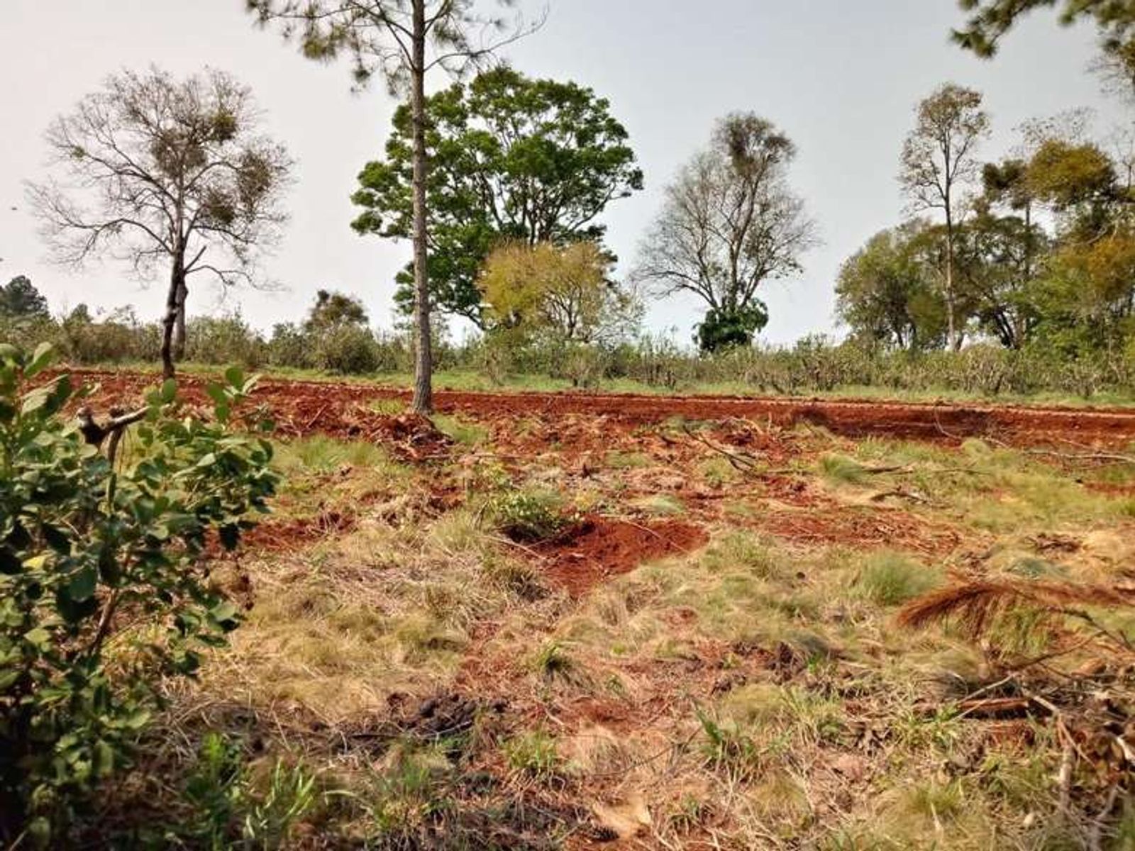 Lote 12 en esquina: más espacio, naturaleza y una vista privilegiada - 7