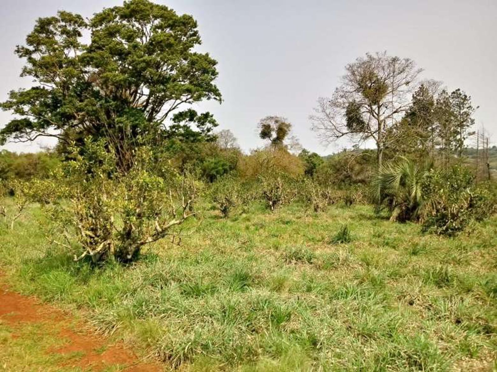 Lote 12 en esquina: más espacio, naturaleza y una vista privilegiada - 11