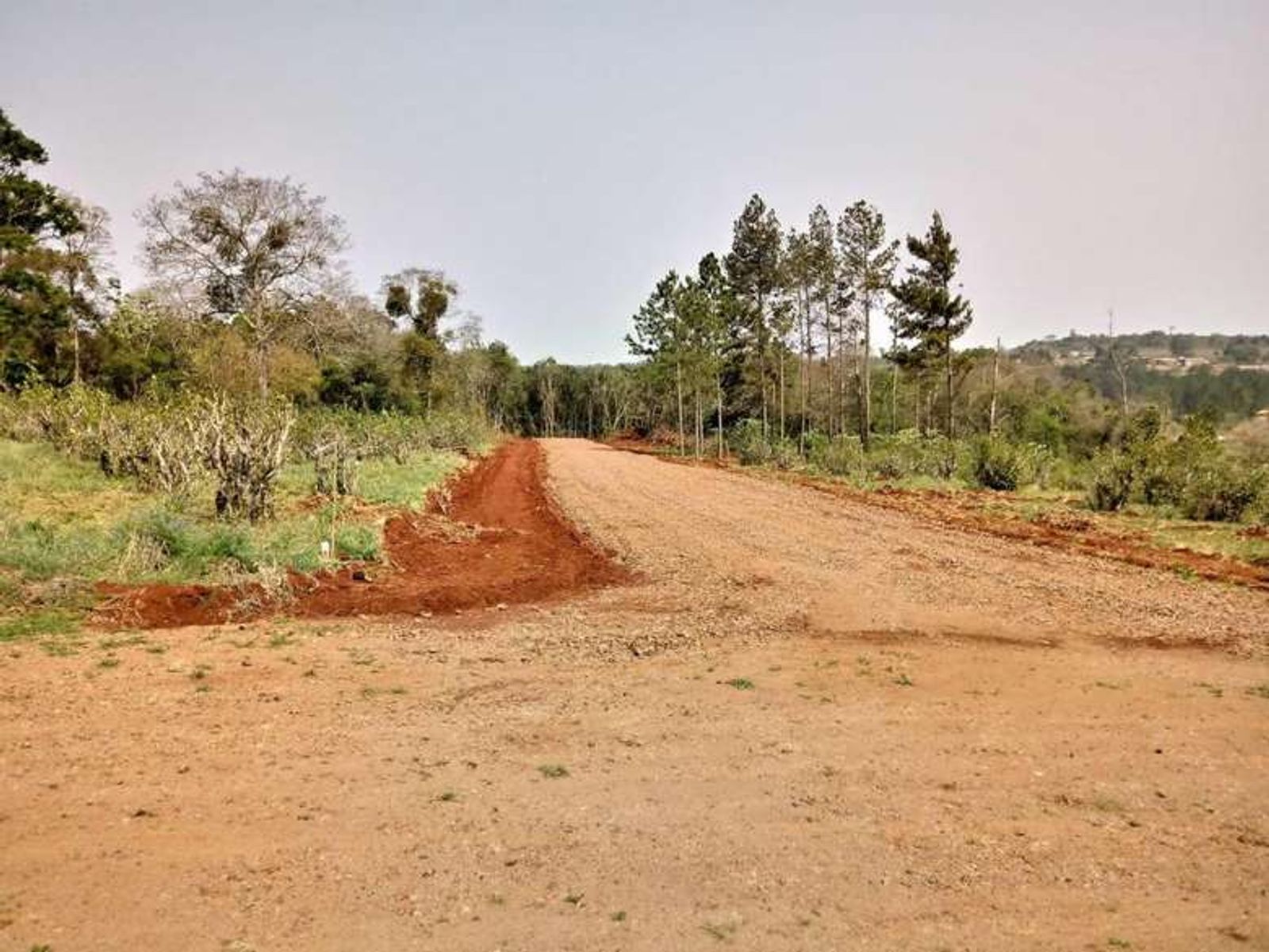 Lote 12 en esquina: más espacio, naturaleza y una vista privilegiada - 13