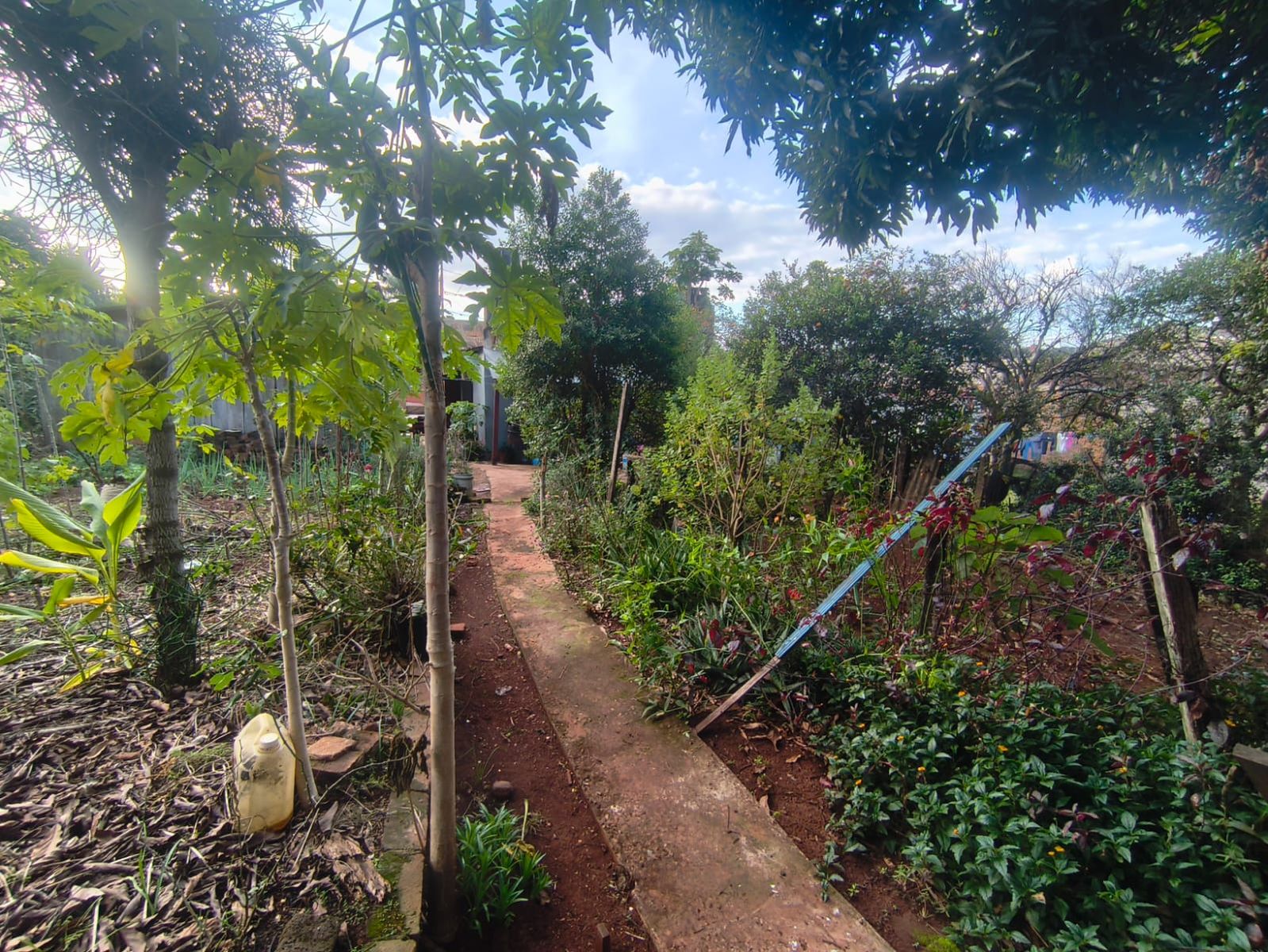 En Venta Terreno único en esquina Piedrabuena y Concordia, Oberá - 3