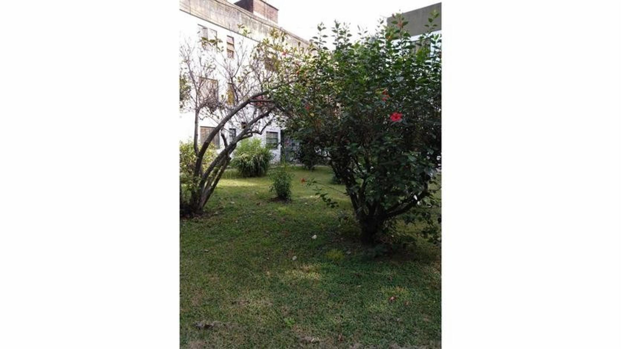 AMPLIO DEPTO 3 AMBIENTES EN PLANTA BAJA. APTO CRÉDITO — foto 11