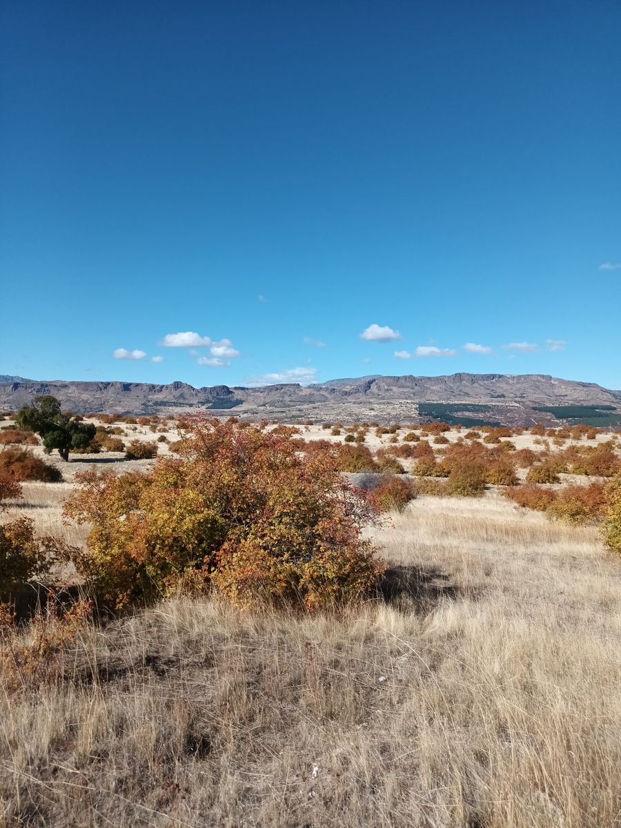 Trevelin, Valle con Encanto - 3