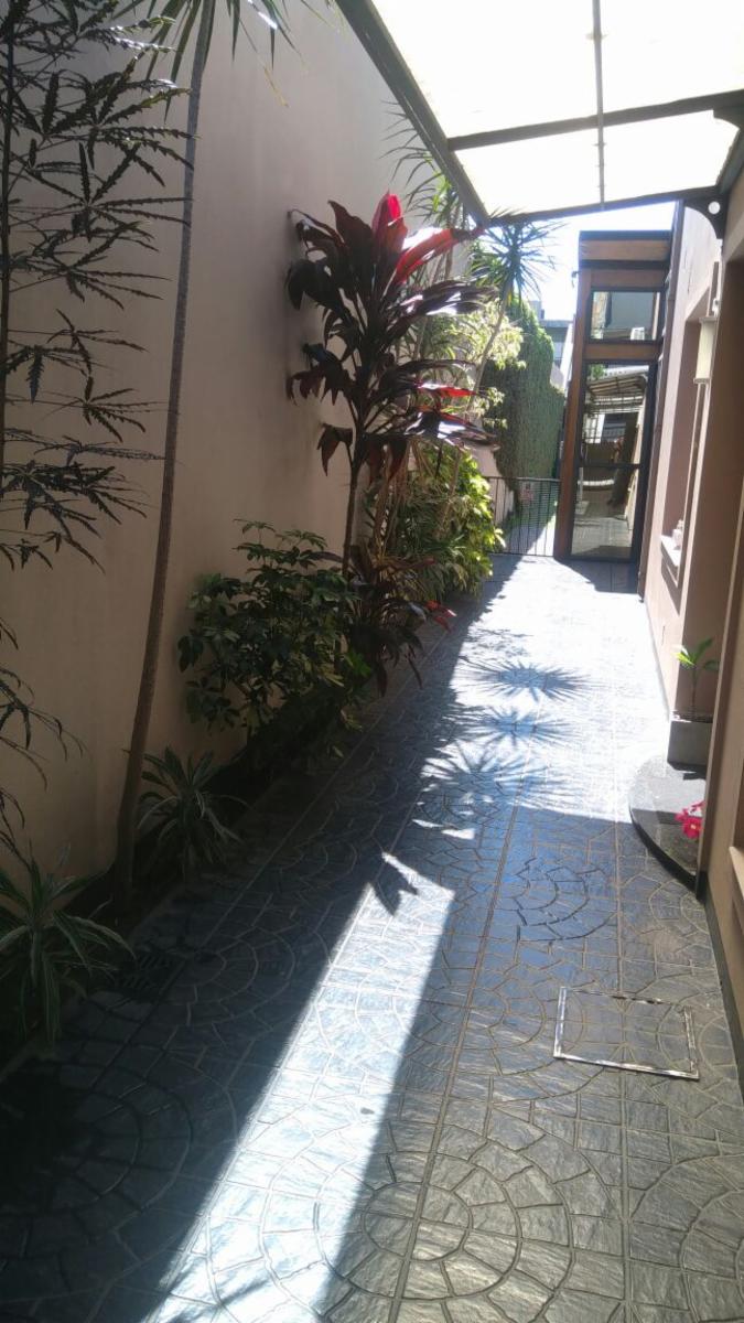 Tres casas en lote de 10 x 50, venta conjunta. Todas en excelente estado y detalles de categoria — foto 14