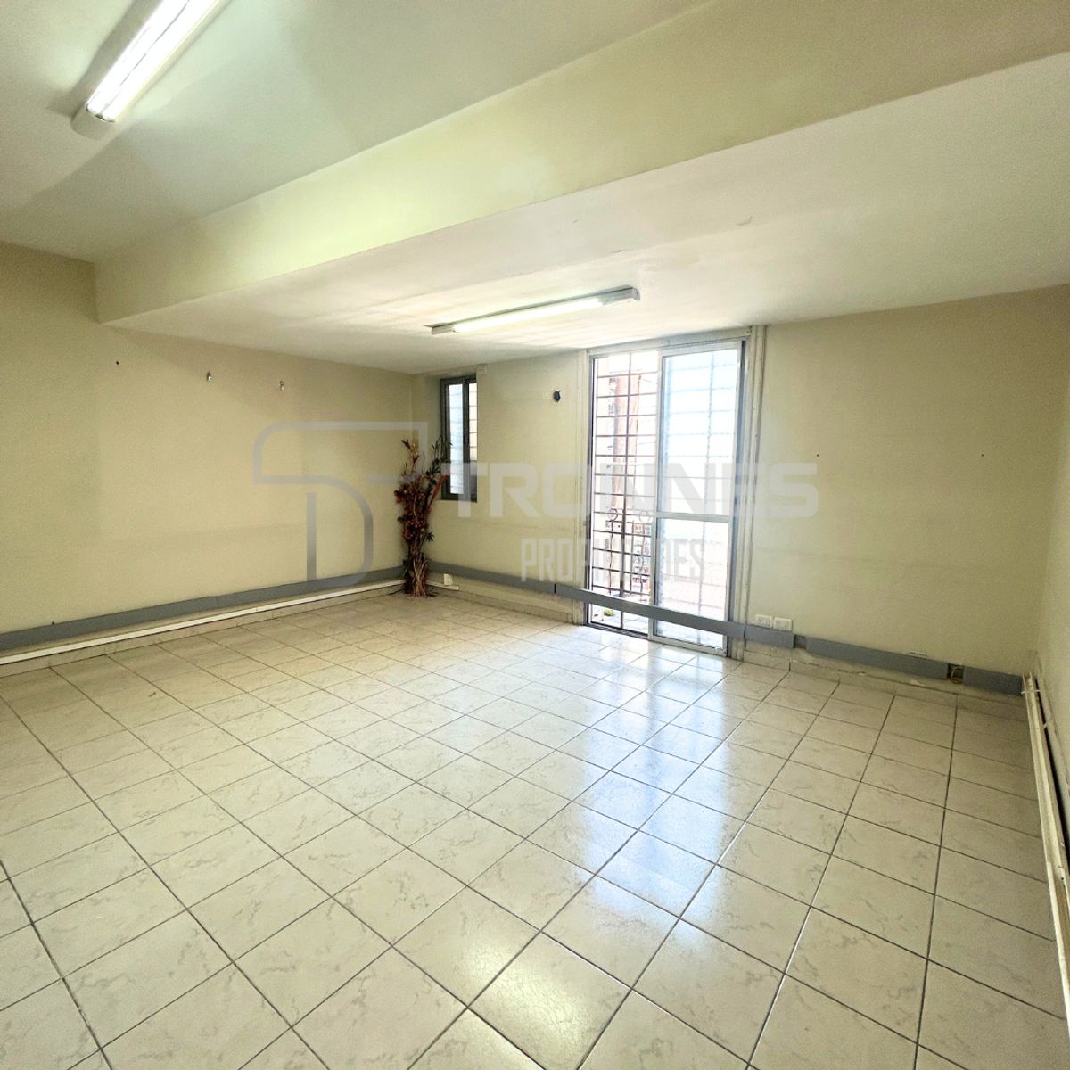 Venta Importante Inmueble Comercial - Local - Oficinas - Consultorios-Lomas Centro — foto 9