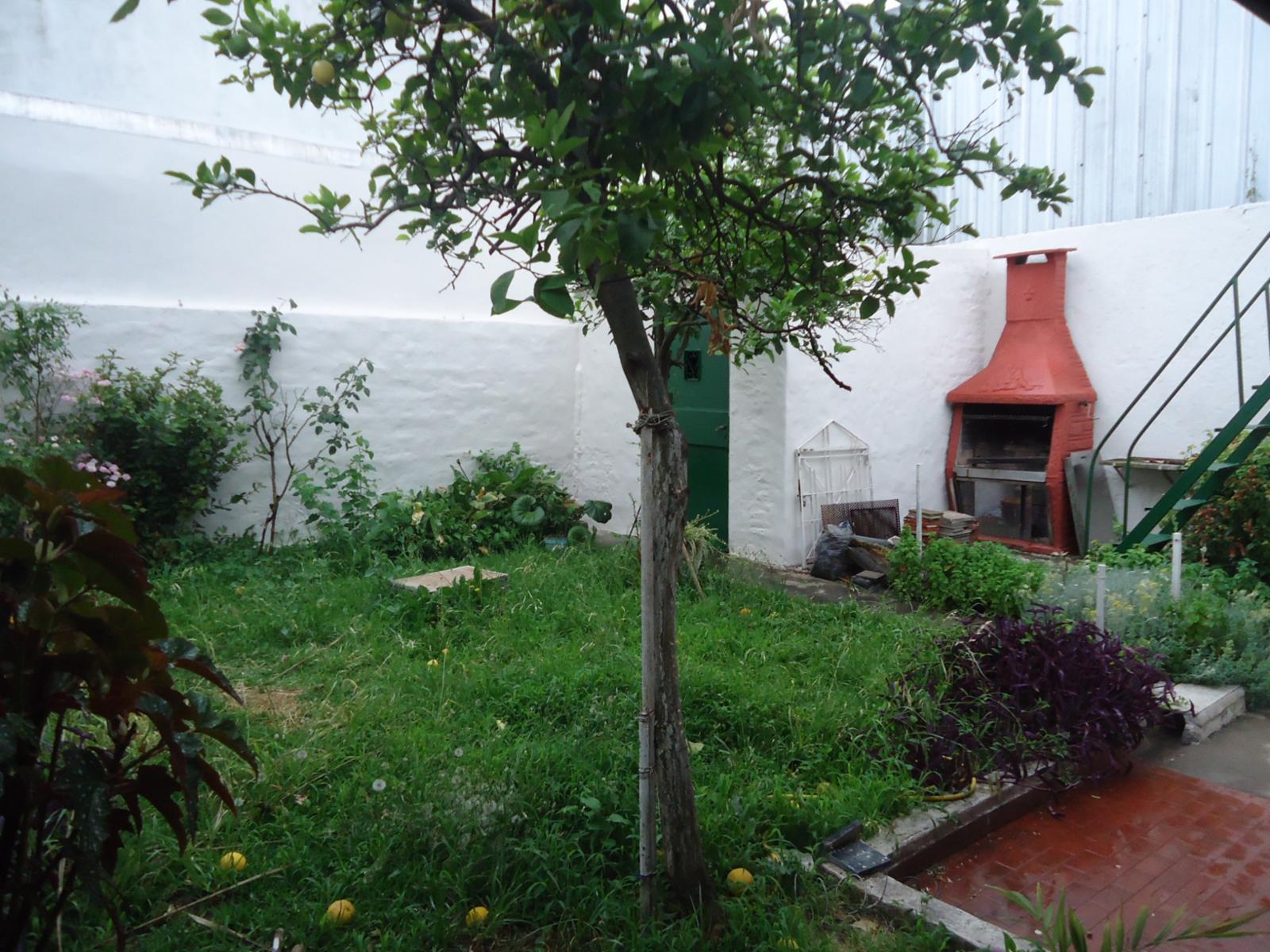 # MIRA ESTO # CASA # GARAJE JARDIN TERRAZA # LOTE 8,66 x 27 MTS APROX — foto 11
