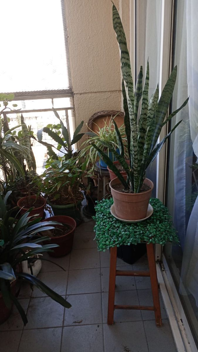# MIRA ESTO # APTO CREDITO # 3 AMB # BALCON # PARRILLA # JUEGOS — foto 7
