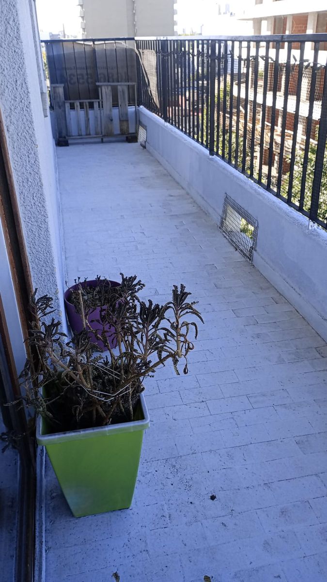 # MIRA ESTO # 5 AMB # BALCON # TERRAZA # FRENTE # A MTS ALBERDI — foto 2