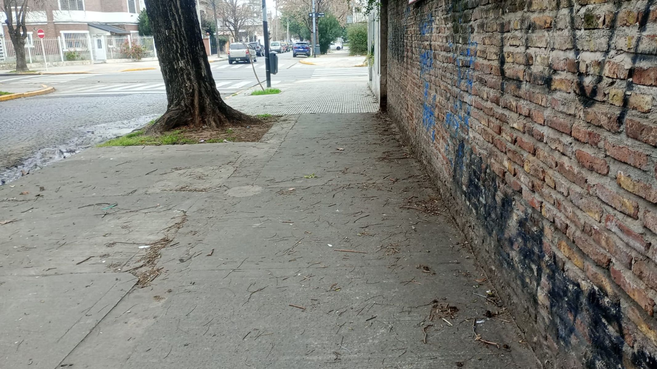 # MIRA ESTO # TERRENO # LOTE 8.66 M x 19.94 M # OPORTUNIDAD - 4