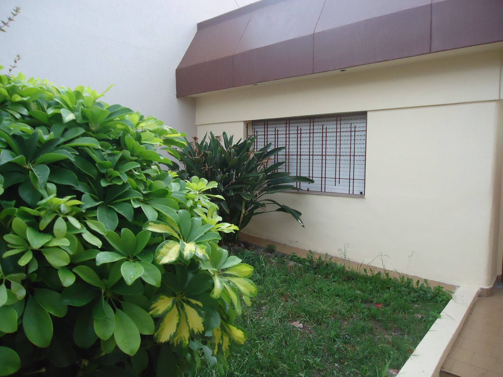 # MIRA ESTO # CASA # GARAJE JARDIN TERRAZA # LOTE 8,66 x 27 MTS APROX - 3