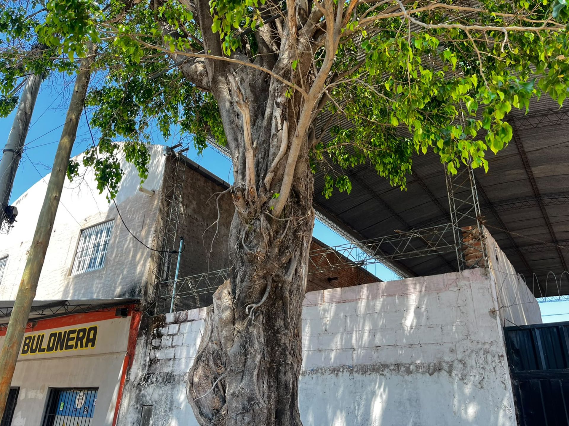 GALPON EN VENTA EN TARTAGAL DE 230 M2 - 8