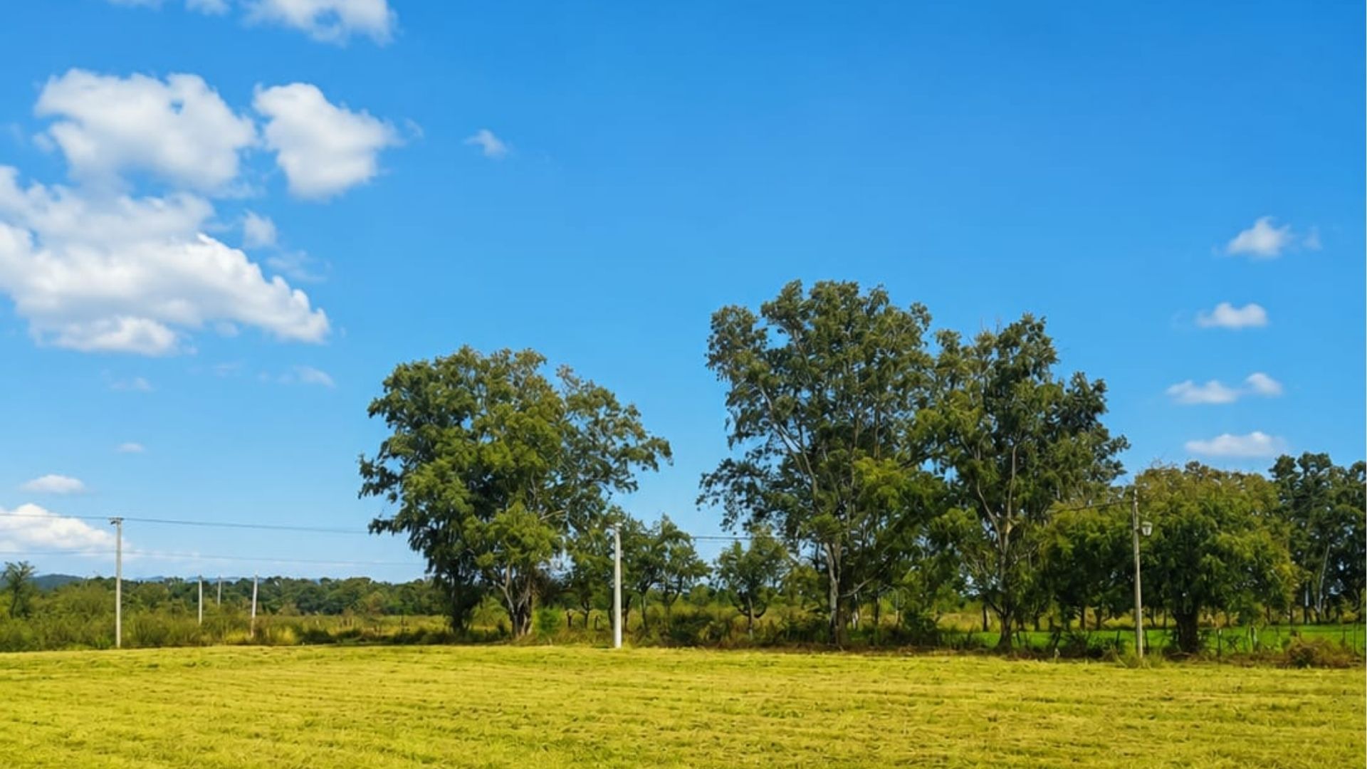 TERRENO EN VENTA RETOÑOS DE COLON RUTA 24 600M2 - 4