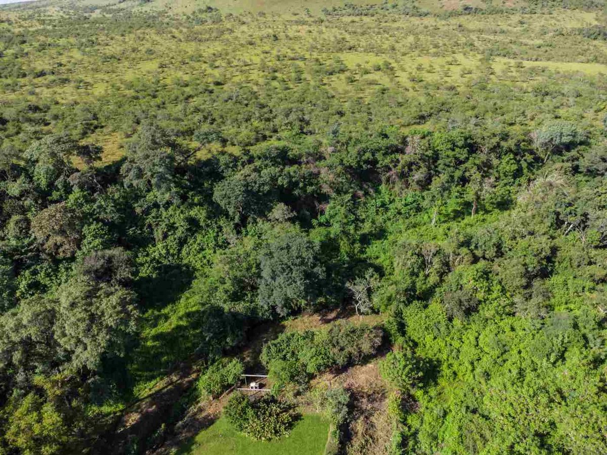 TERRENO VENTA SAN LORENZO 1894m2 - 2