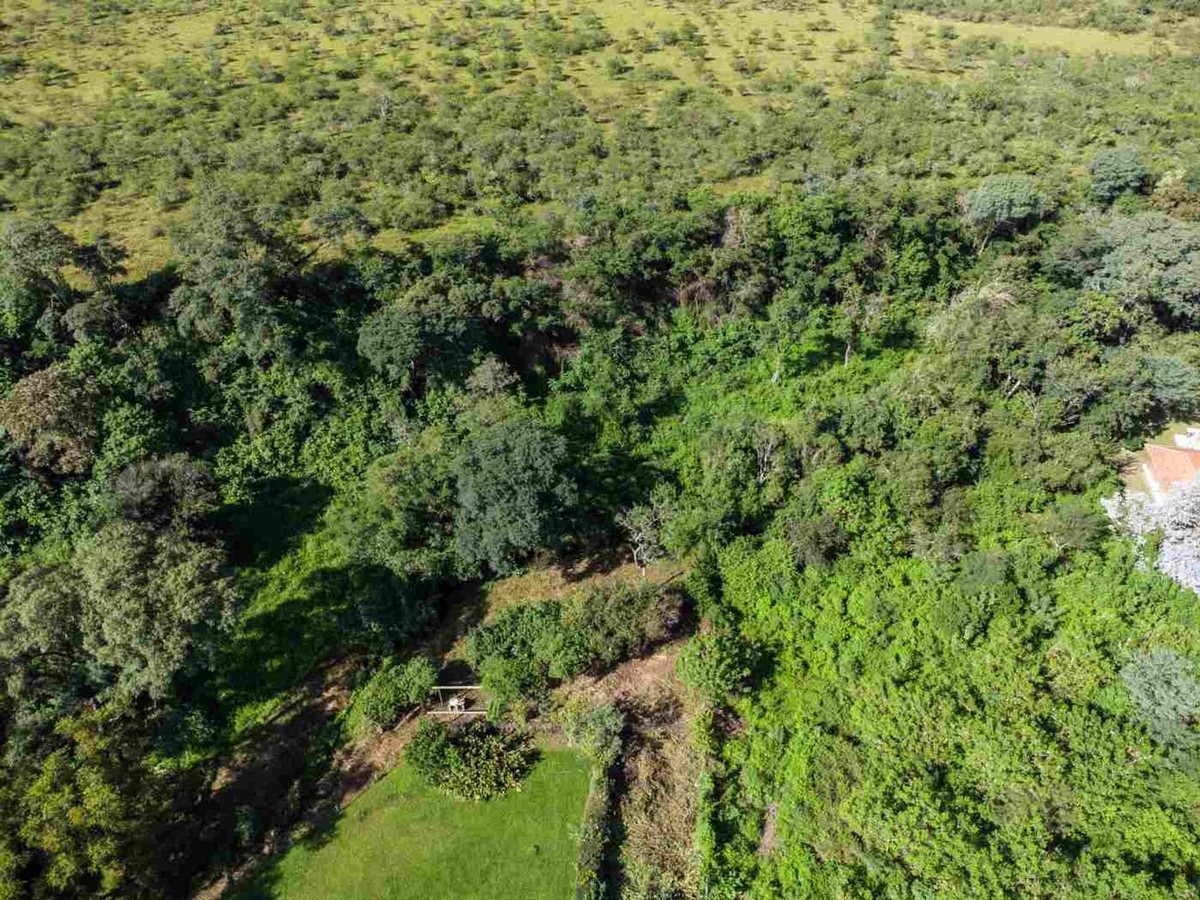 TERRENO VENTA SAN LORENZO 1894m2 - 3
