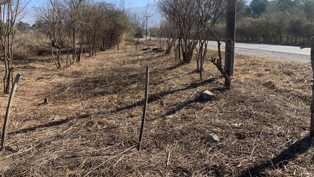 TERRENO VENTA CAMPO QUIJANO KM 16.5 5000M2 - 6