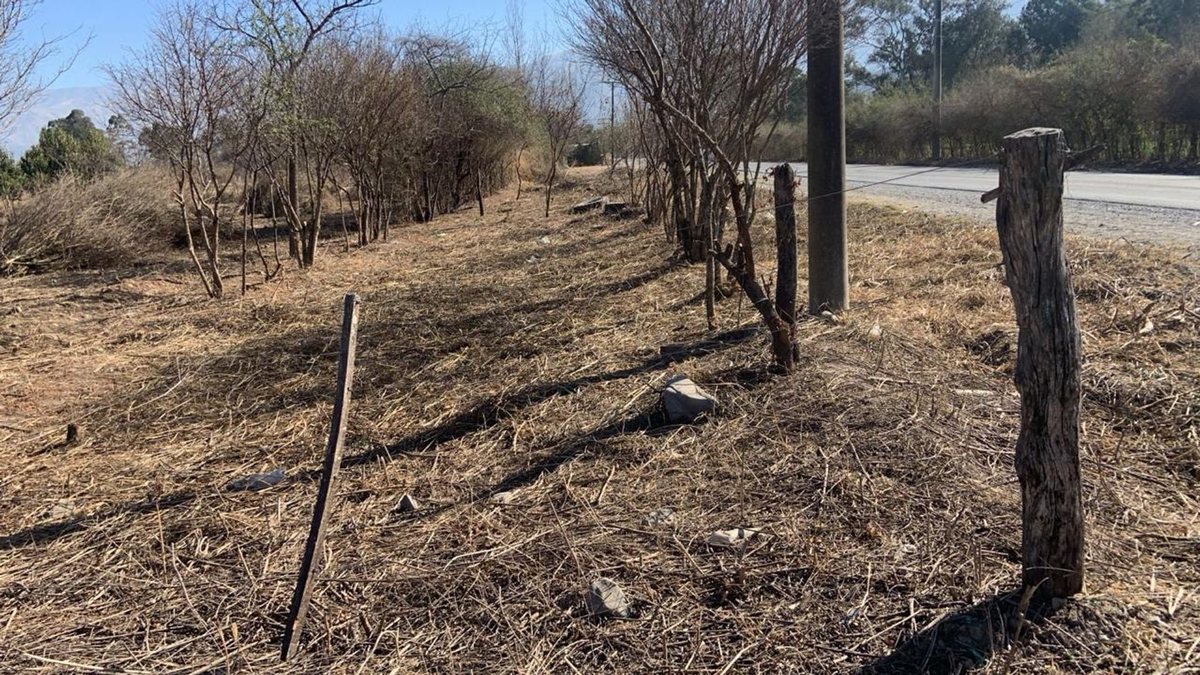 TERRENO VENTA CAMPO QUIJANO KM 16.5 5000M2 - 7
