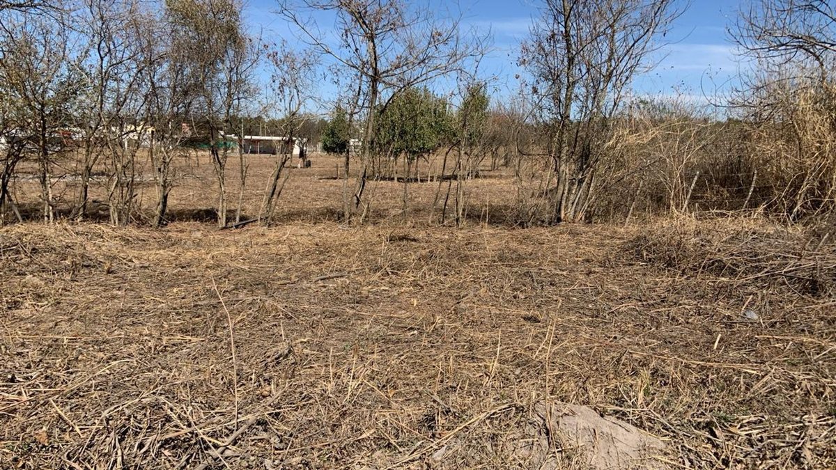 TERRENO VENTA CAMPO QUIJANO KM 16.5 5000M2 - 10