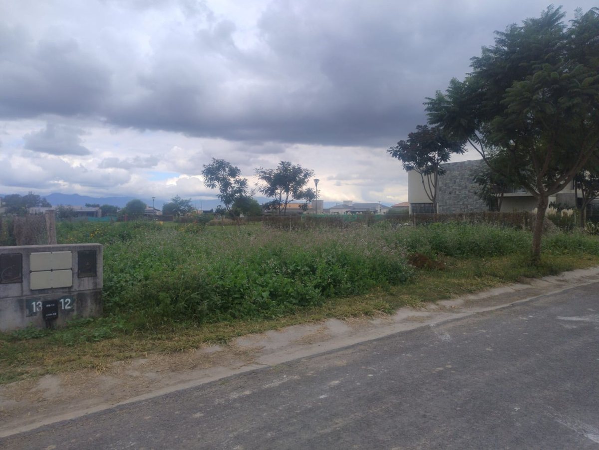 TERRENO VENTA EN SAN LORENZO CHICO B° TINIDAD - 2