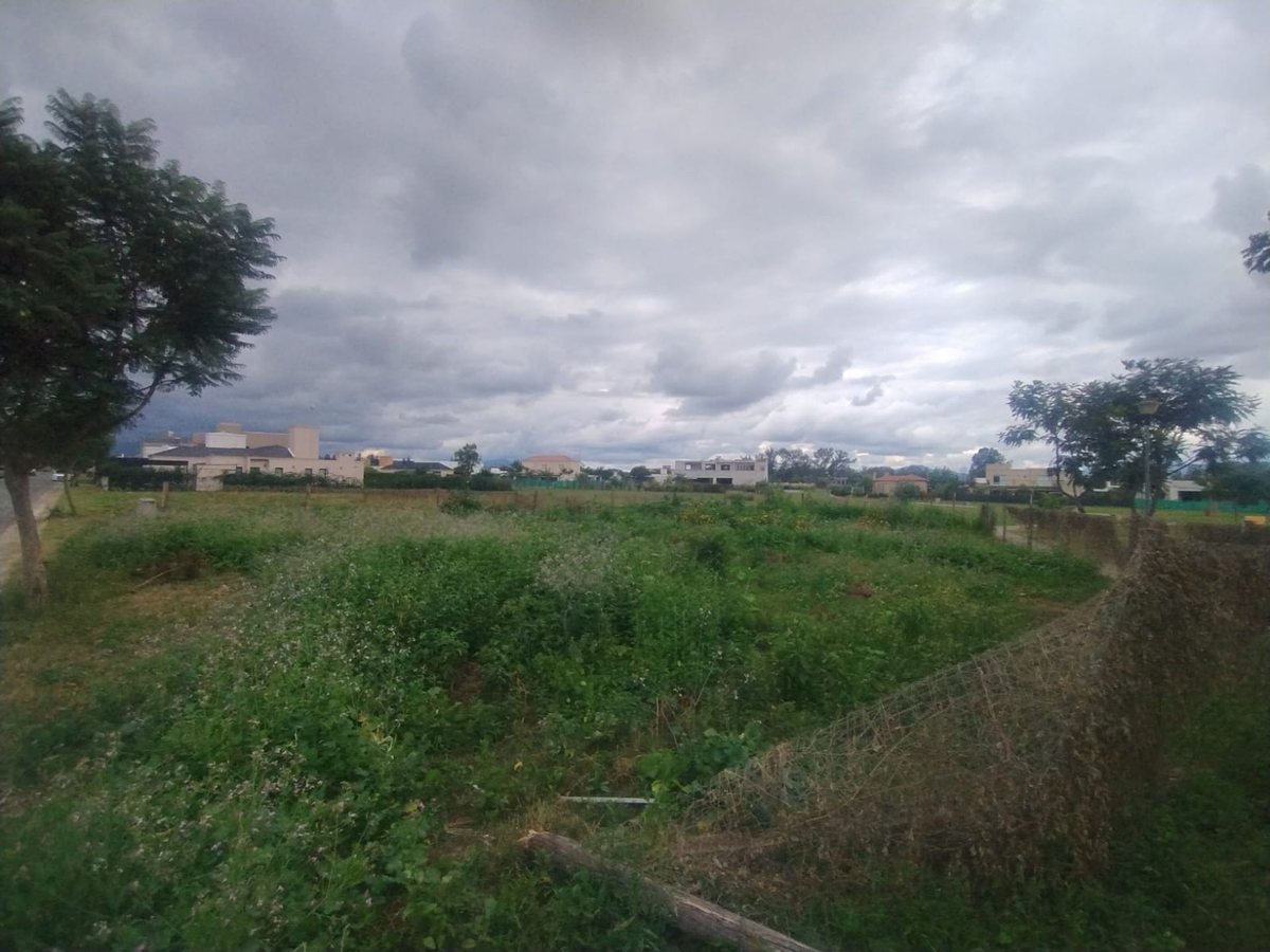 TERRENO VENTA EN SAN LORENZO CHICO B° TINIDAD - 3