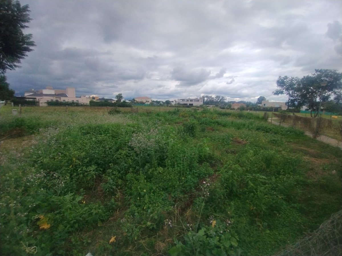 TERRENO VENTA EN SAN LORENZO CHICO B° TINIDAD - 4