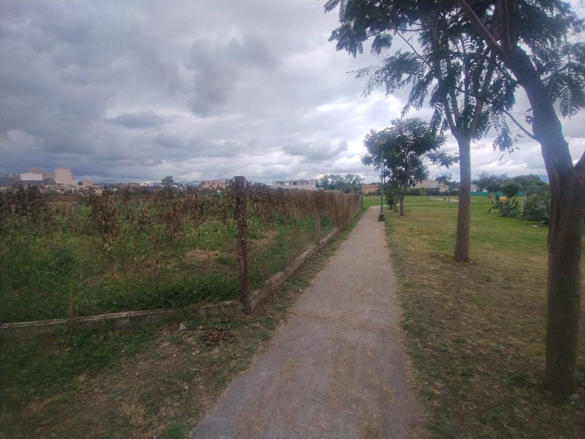 TERRENO VENTA EN SAN LORENZO CHICO B° TINIDAD - 9