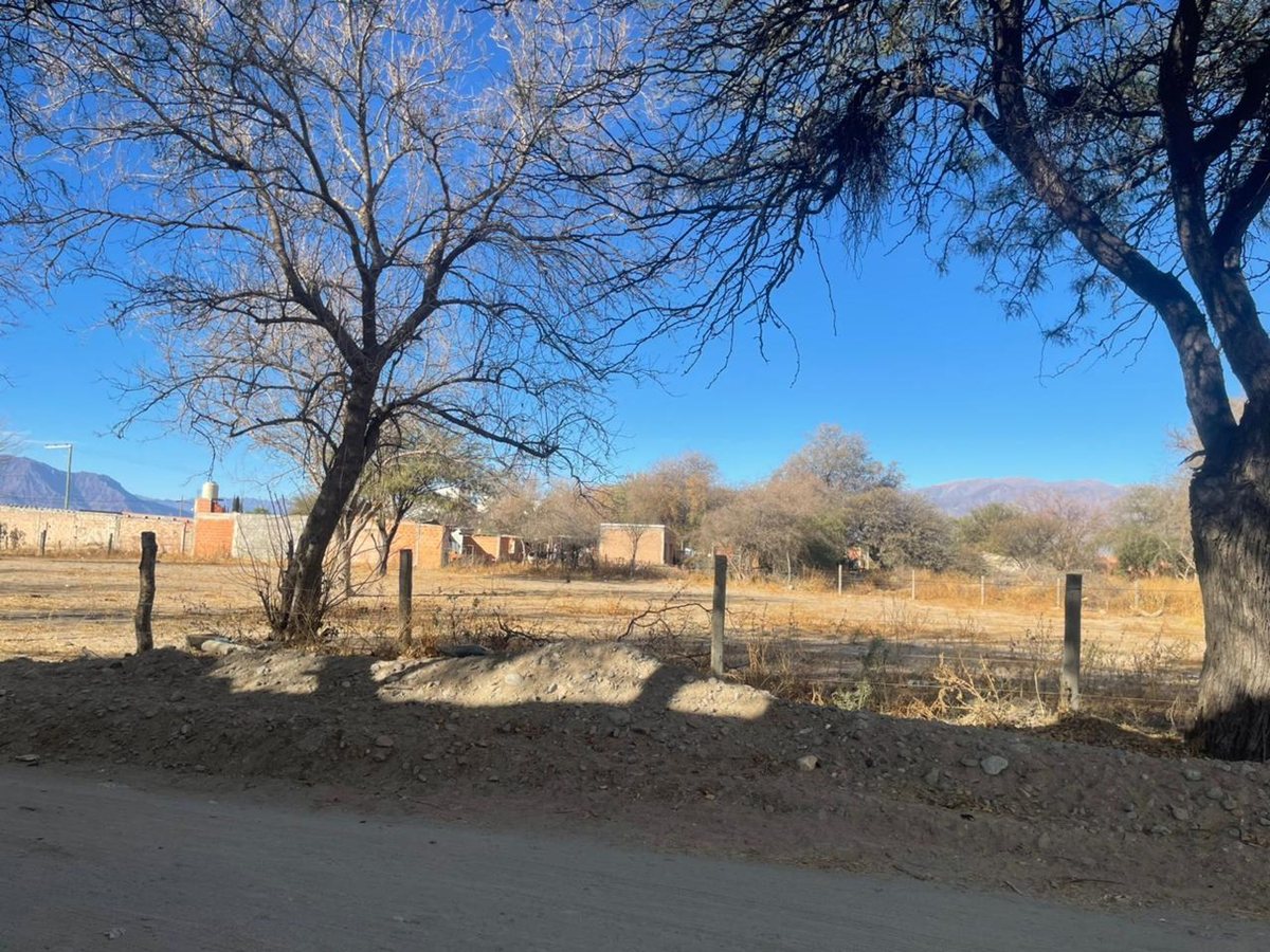 TERRENO VENTA CAFAYATE 604 M2 - 3