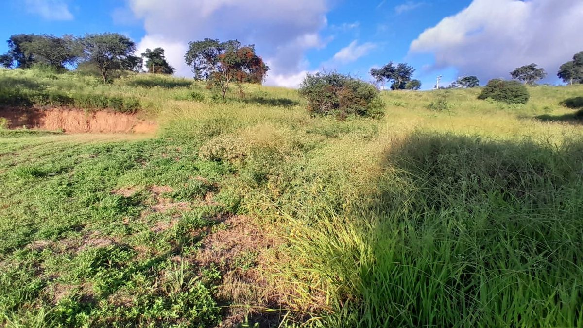 TERRENO VENTA LAS CAÑADAS ACCESO A SALTA RN 9 - 2