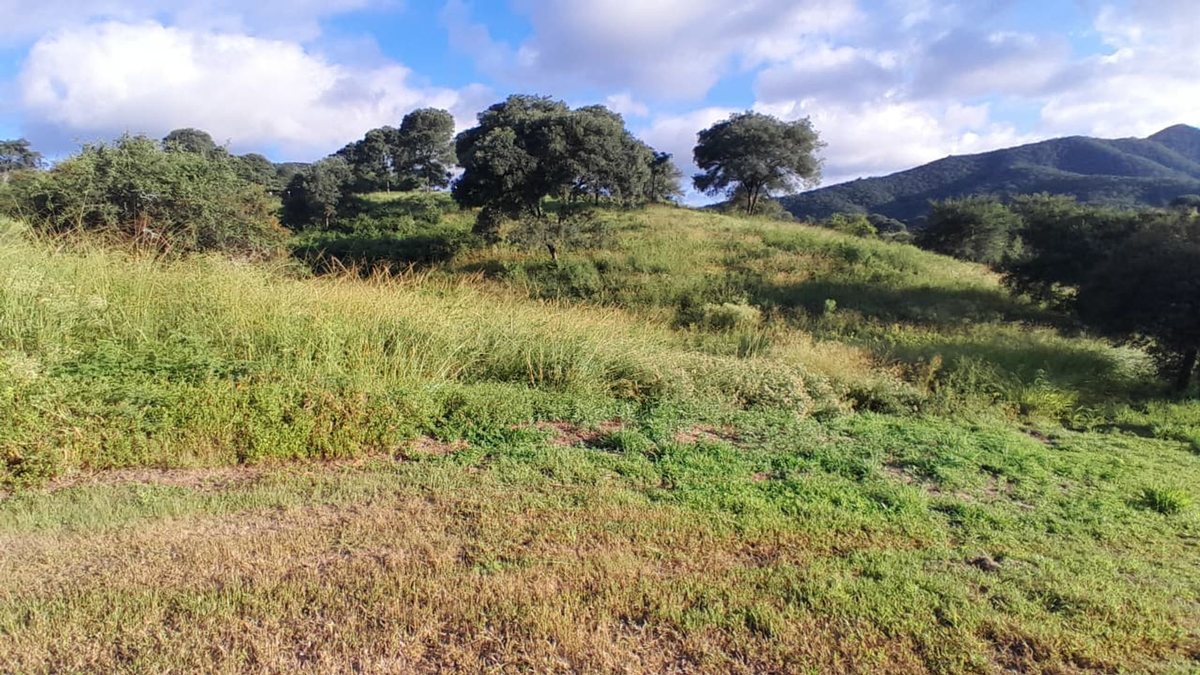 TERRENO VENTA LAS CAÑADAS ACCESO A SALTA RN 9 - 3