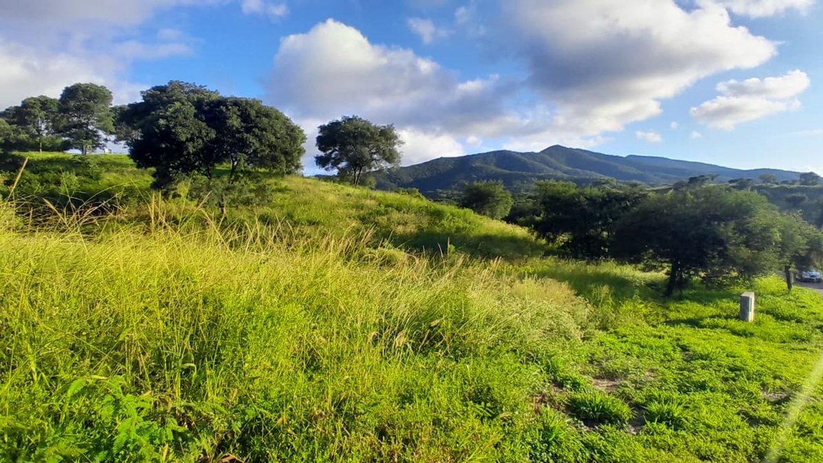 TERRENO VENTA LAS CAÑADAS ACCESO A SALTA RN 9 - 4