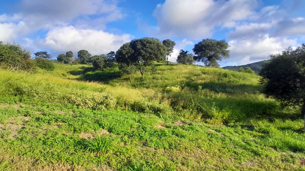 TERRENO VENTA LAS CAÑADAS ACCESO A SALTA RN 9 - 6