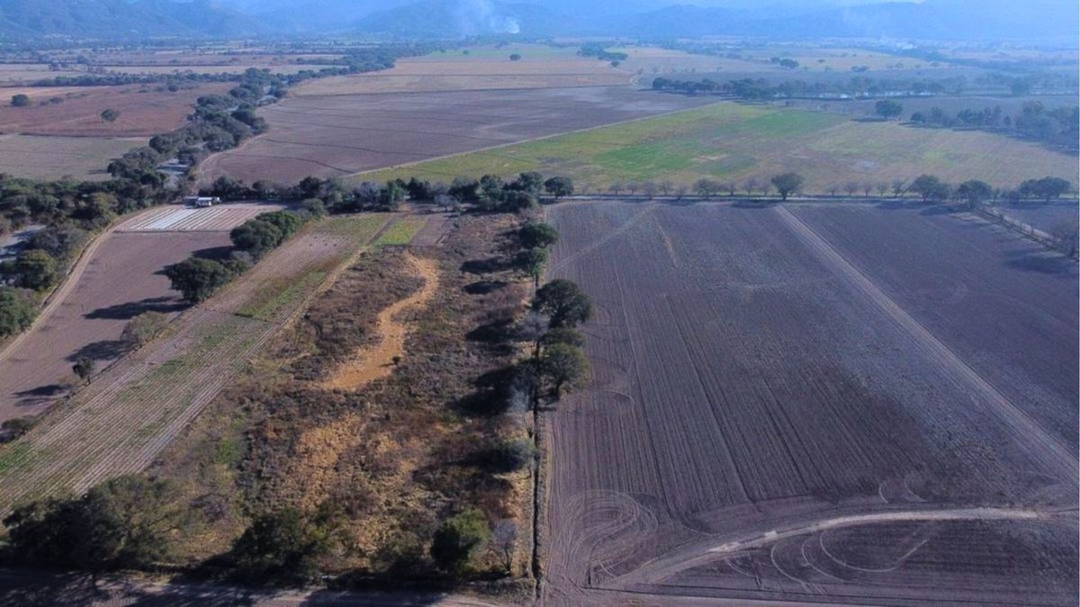 CAMPO VENTA FINCA EL TIPAL RP 76 CHICOANA - 2