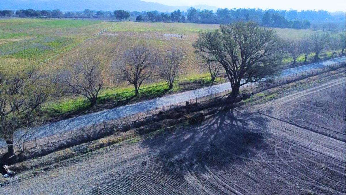 CAMPO VENTA FINCA EL TIPAL RP 76 CHICOANA - 3
