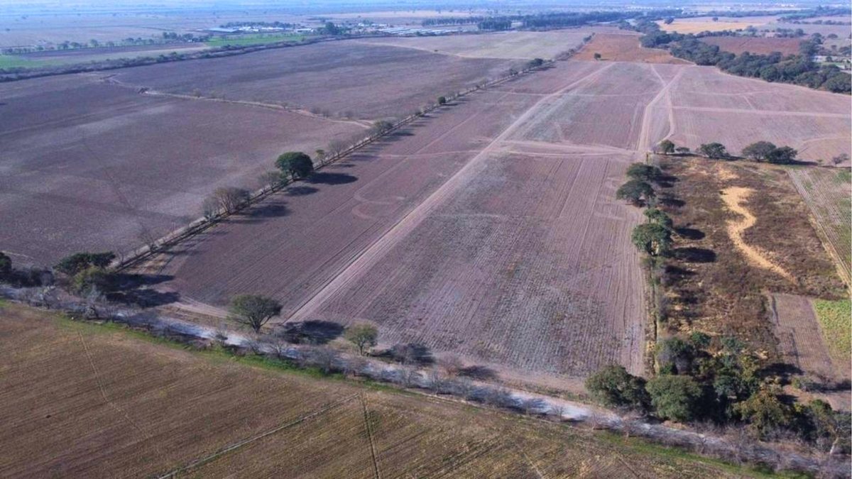 CAMPO VENTA FINCA EL TIPAL RP 76 CHICOANA - 5