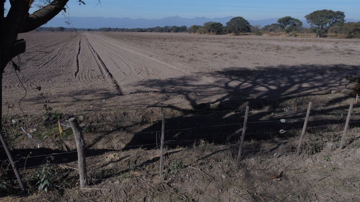 CAMPO VENTA FINCA EL TIPAL RP 76 CHICOANA - 8