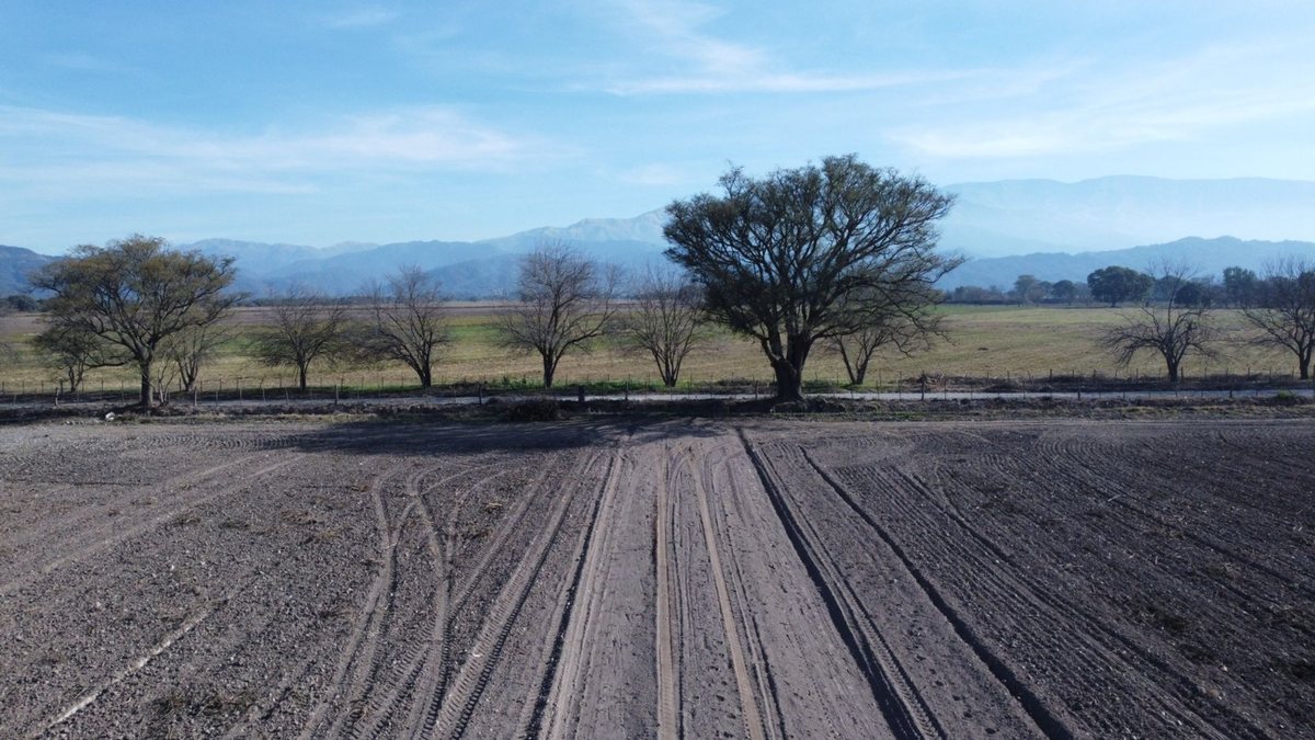 CAMPO VENTA FINCA EL TIPAL RP 76 CHICOANA - 10