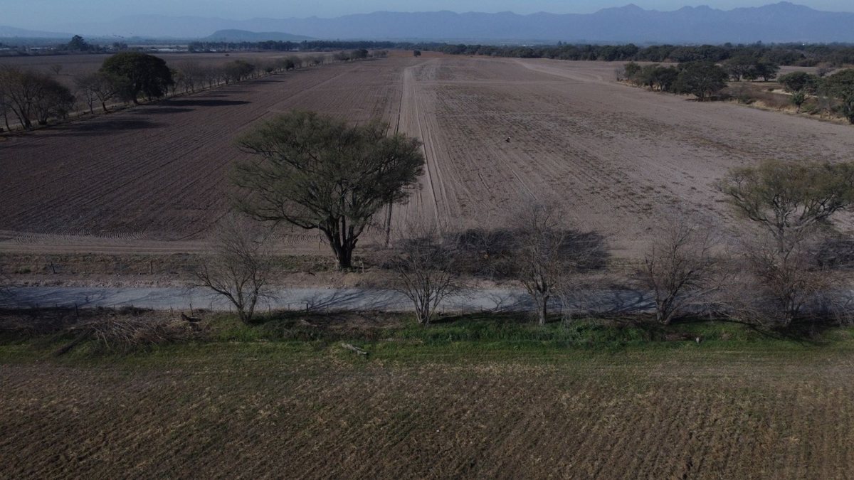 CAMPO VENTA FINCA EL TIPAL RP 76 CHICOANA - 11