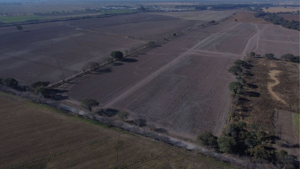 CAMPO VENTA FINCA EL TIPAL RP 76 CHICOANA - 12
