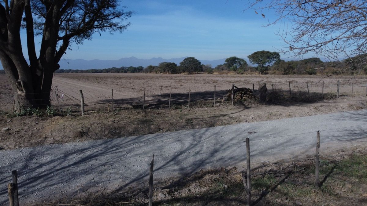 CAMPO VENTA FINCA EL TIPAL RP 76 CHICOANA - 14