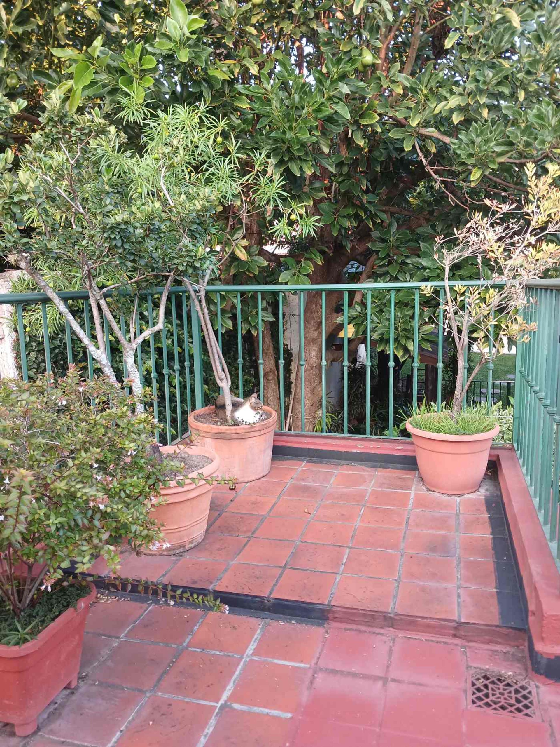 VENTA CASA C/PILETA TRES CERRITOS APTO CREDITO - 26