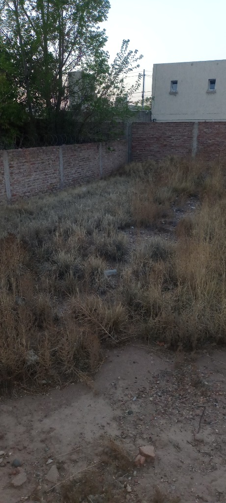 Excelente lote en venta — foto 4