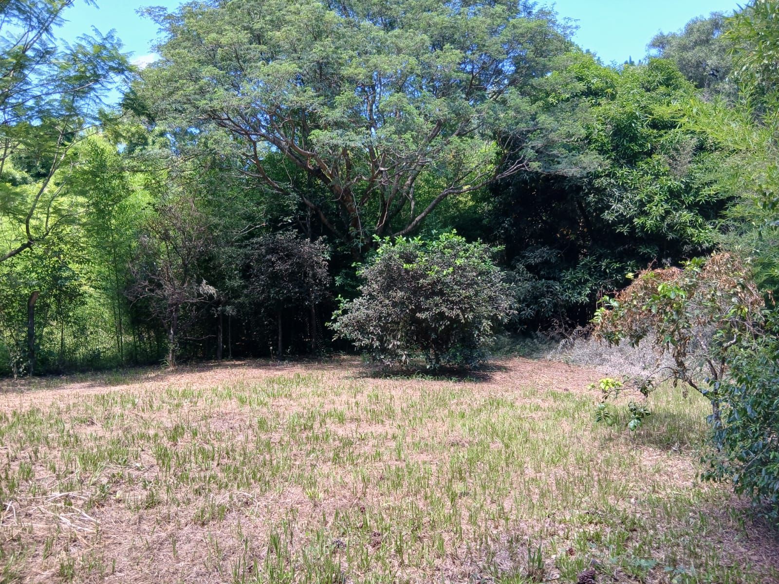 GEN- Vende casa quinta sobre Ruta 99, predio de mas de 2.200m2 SantaAna Corrientes - 4