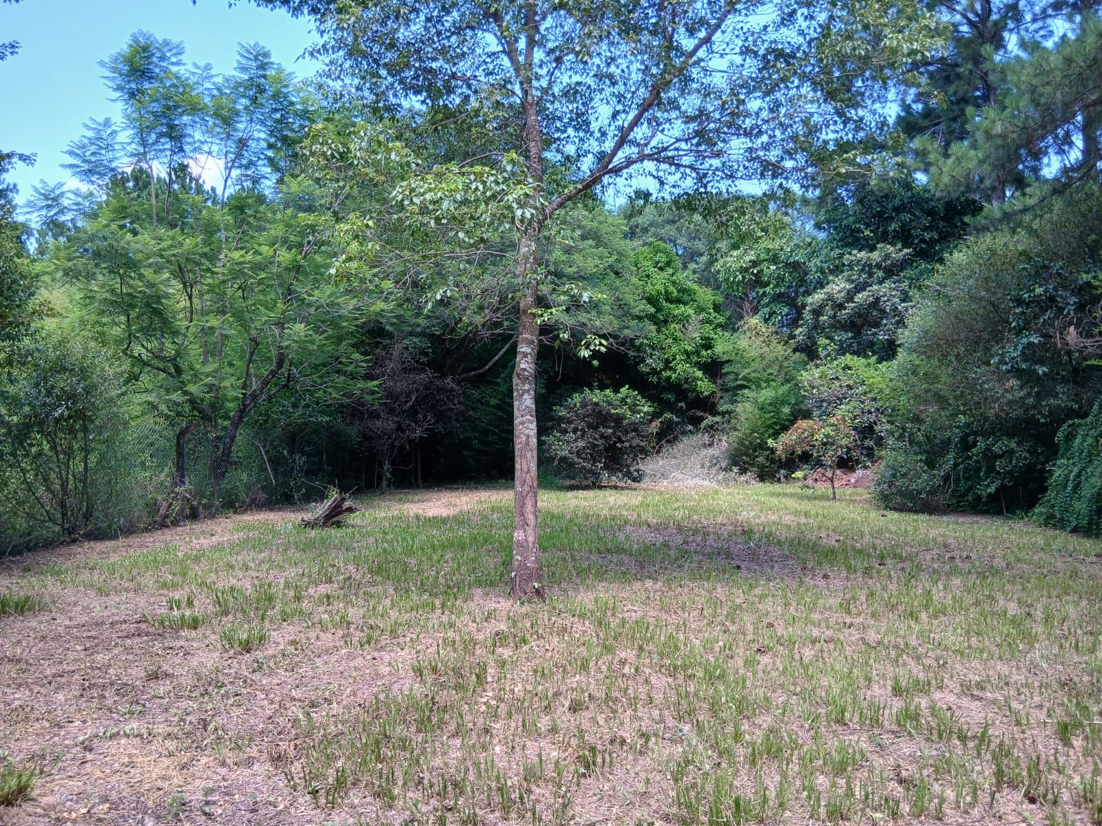 GEN- Vende casa quinta sobre Ruta 99, predio de mas de 2.200m2 SantaAna Corrientes - 5