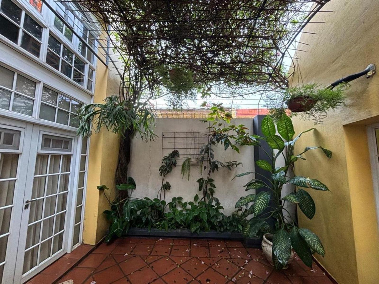 Casa de Catego 4 Dorm. con Cochera en Barrio Centro — foto 9