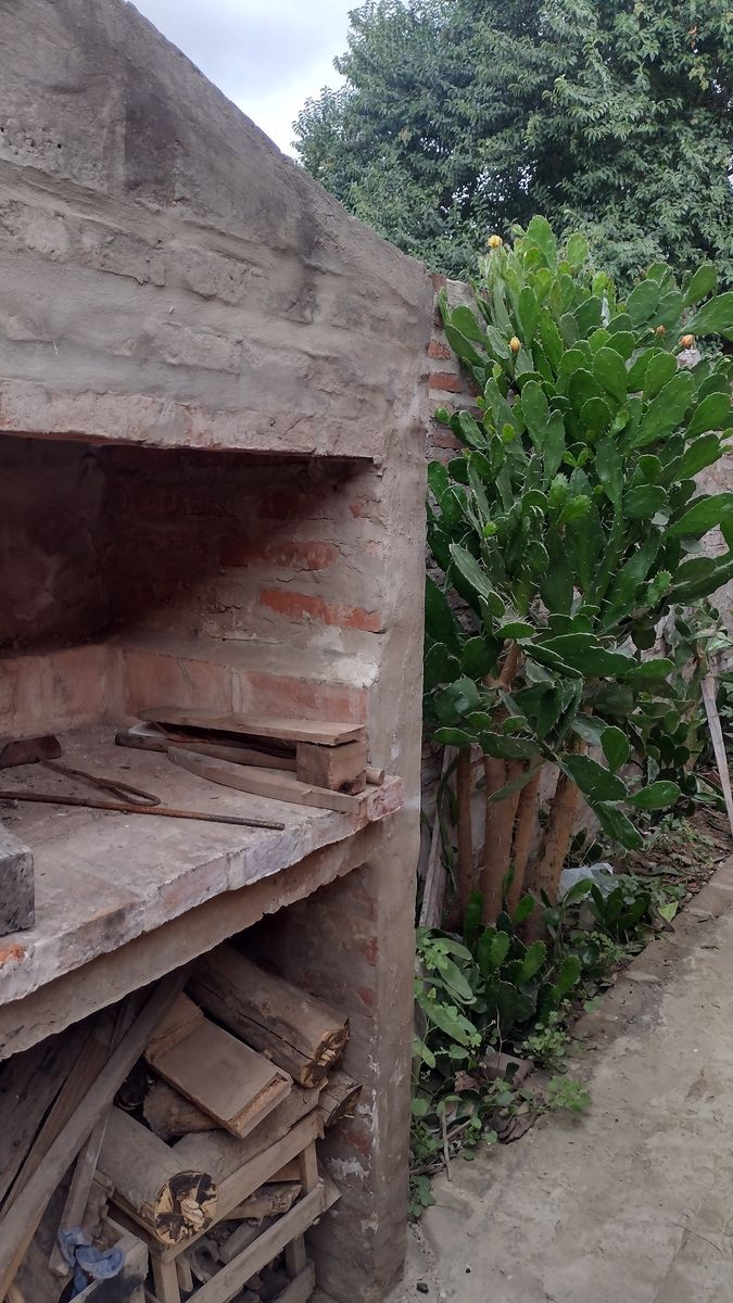 DOS CASAS SOBRE LOTE INTERNO EN RECREO — foto 7