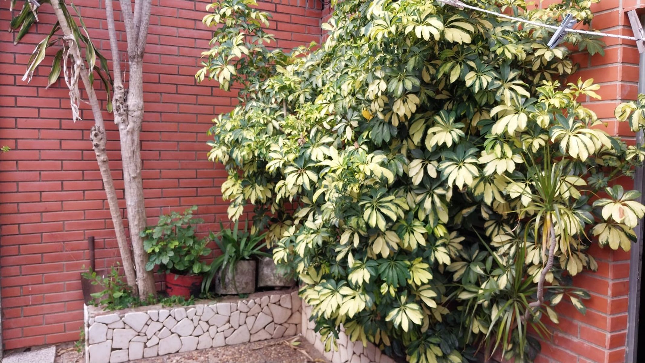OPORTUNIDAD PARA FLIPPING EN MARIA SELVA - INTERNO ÚNICO DE DOS DORMITORIOS — foto 5