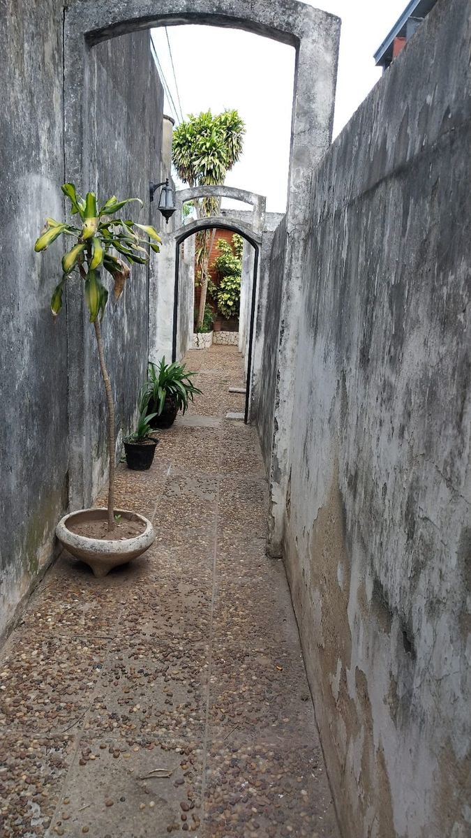 OPORTUNIDAD PARA FLIPPING EN MARIA SELVA - INTERNO ÚNICO DE DOS DORMITORIOS — foto 6
