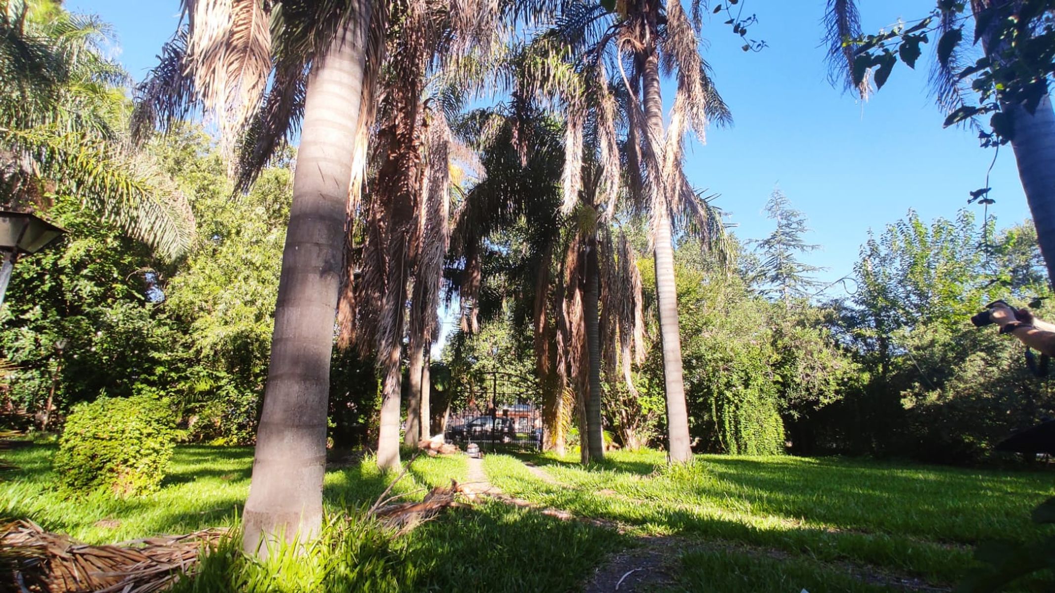 QUINTA EN ALTOS DEL SAUCE SOBRE TERRENO DE 1200 M2 — foto 9