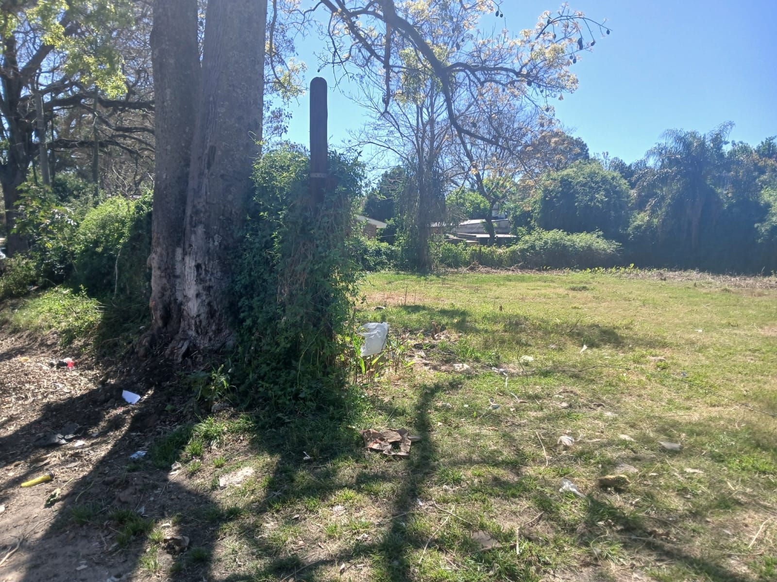 Tres Lotes en San Jose del Rincon — foto 3