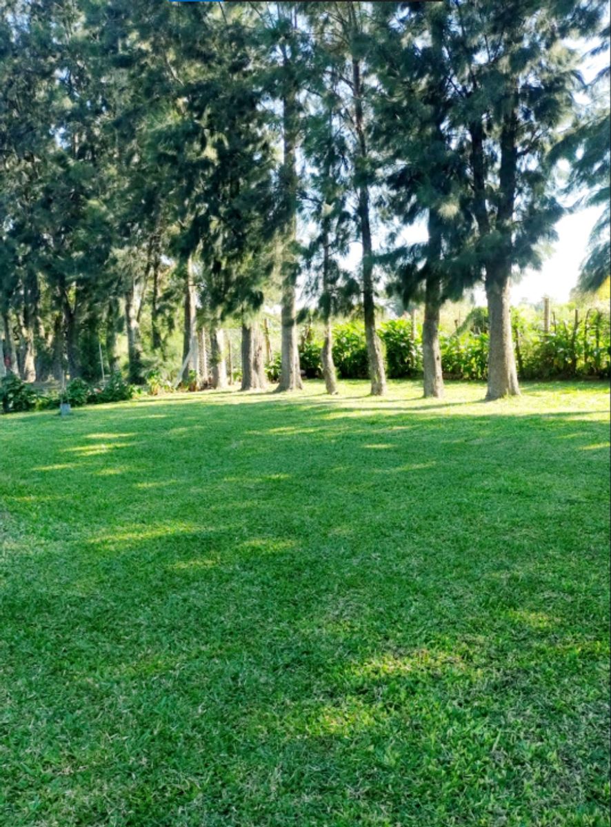 VENTA Casa con Piscina y Gran Predio. Los Arándanos - 3