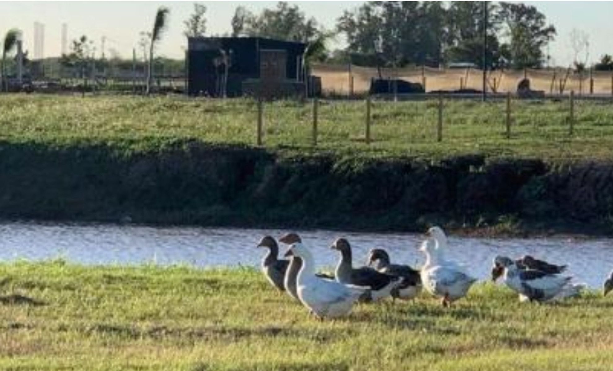 Lote 1000 m² Nuevos Aires Country Club - 5