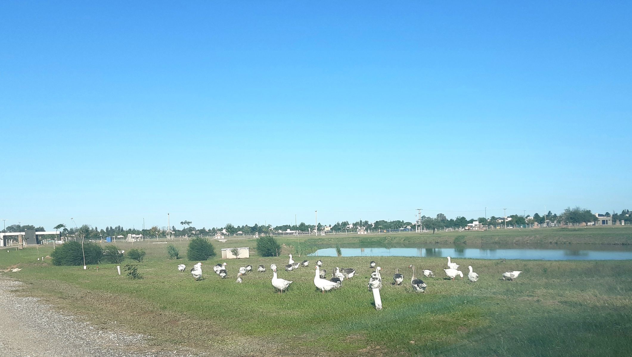 Lote 1000 m² Nuevos Aires Country Club - 11